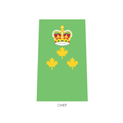 Chief Badge
